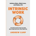 Intrinsic Work: A Flexible System That Can Help Most People Up-Level Their Work Life