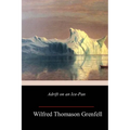 Adrift on an Ice-Pan