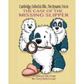 Cambridge, Oxford & Ollie...The Dynamic Trio in The Case of the Missing Slipper