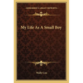 My Life As A Small Boy