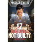 17 Felony Charges: Not Guilty - Hardcover