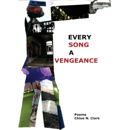 Every Song a Vengeance