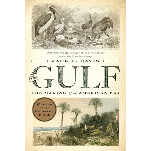 The Gulf: The Making of an American Sea