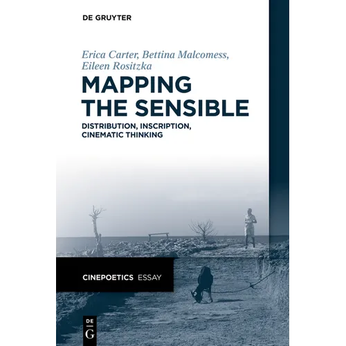 Mapping the Sensible: Distribution, Inscription, Cinematic Thinking