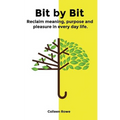 Bit by Bit: reclaim meaning, purpose and pleasure in everyday life