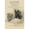 Alphie, a Yellowstone Wolf Pup