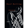 Soul Setting: Listen to Your Soul Instead of Your Mind