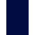 Atonement According to the Apostles