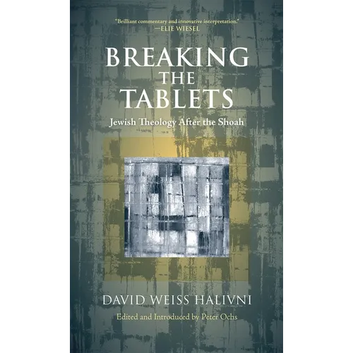 Breaking the Tablets: Jewish Theology After the Shoah