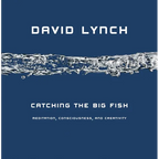 Catching the Big Fish: Meditation, Consciousness, and Creativity