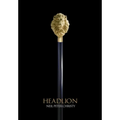 Head Lion