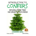 Introduction to Conifers - Growing Conifer Trees and Shrubs in Your Garden