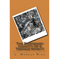 The Temporary Insanity Of A Teenage Mind!!!!: A Christian Parenting Guide to better understand how you may be encouraging your teen's defiant behavior