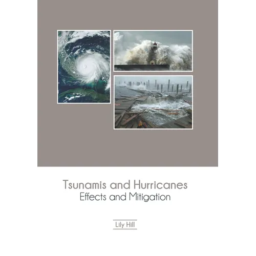 Tsunamis and Hurricanes: Effects and Mitigation