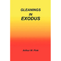 Gleanings in Exodus