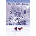 Snowfall at Catoctin Creek