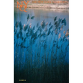 The New York Quarterly, Number 48