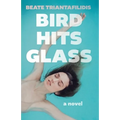 Bird Hits Glass