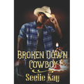 Broken Down Cowboy