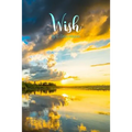Wish