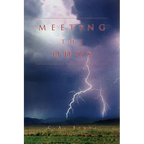 Meeting the Odds - Paperback