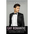 Gay Romantic Suspense Collection: 3 Gay Spy Romantic Suspense Novellas