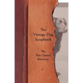 The Vintage Dog Scrapbook - The Flat Coated Retriever
