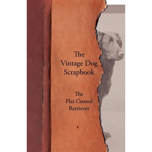 The Vintage Dog Scrapbook - The Flat Coated Retriever