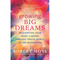 Growing Big Dreams: Manifesting Your Heart's Desires Through Twelve Secrets of the Imagination