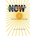 American Poetry Now: Pitt Poetry Series Anthology