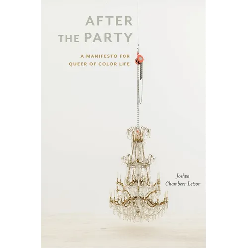 After the Party: A Manifesto for Queer of Color Life