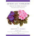 African Violets Back to the Basics: Your Questions Answered