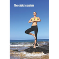 The chakra system: The energy vortexes within