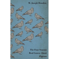 The Four Seasons Real Course about Pigeons