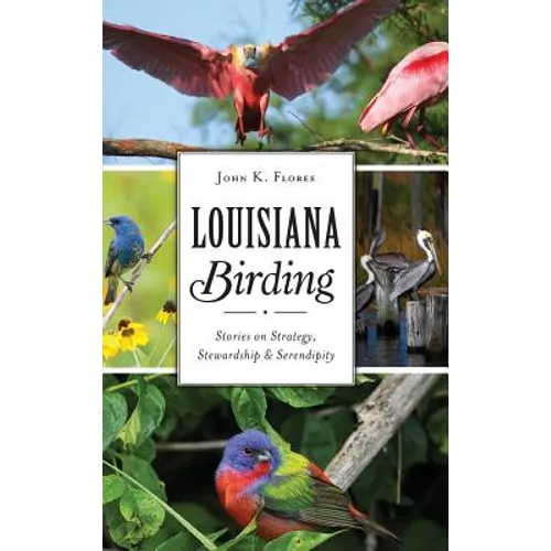 Louisiana Birding: Stories on Strategy, Stewardship and Serendipity