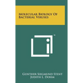 Molecular Biology of Bacterial Viruses