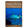 Hammerhead Shark - Discover: Early reader's wildlife photography book