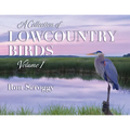A Collection of Lowcountry Birds