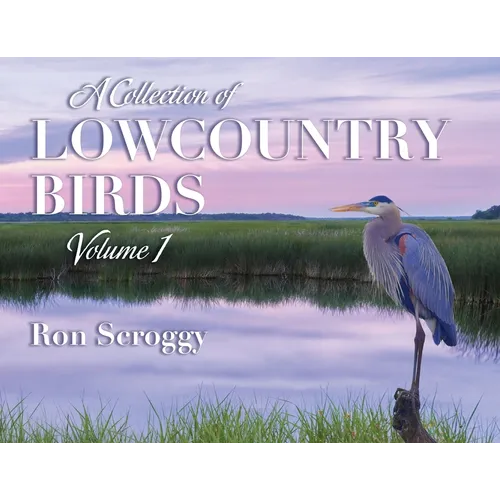 A Collection of Lowcountry Birds