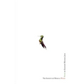 The Inanity of Music and Wings