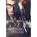 Nothing Special V