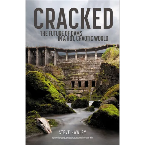 Cracked: The Future of Dams in a Hot, Chaotic World