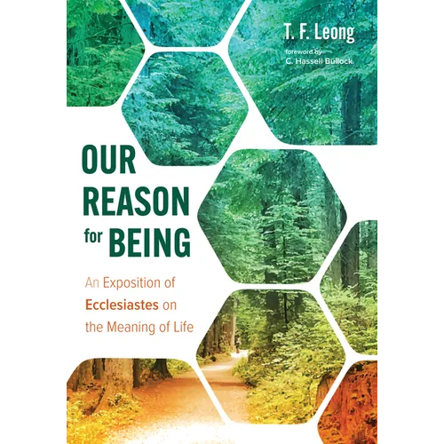 Our Reason for Being: An Exposition of Ecclesiastes on the Meaning of Life