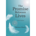 The Promise Between Lives: A Soul Contract