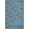 Pigeons and How to Keep Them