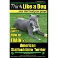 American Staffordshire Terrier, American Staffordshire Terrier Training AAA AKC: Think Like a Dog, but Don't Eat Your Poop! American Staffordshire Ter