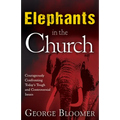 Elephants in the Church: Courageously Confronting Today's Tough and Controversial Issues