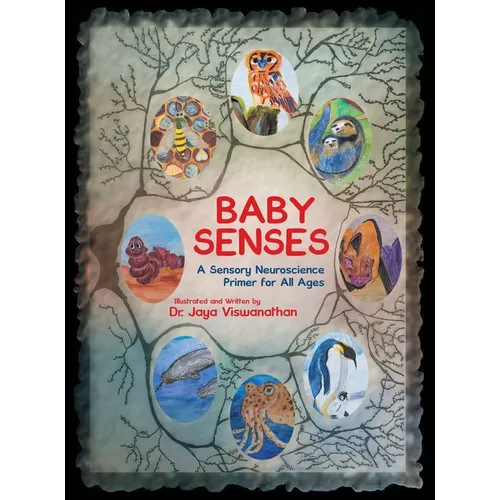 Baby Senses: A Sensory Neuroscience Primer for All Ages