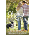 Chasing Bailey: A Lake Harriet Novel