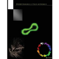 Philosophia Metamorphosis of Physik and Mathematik